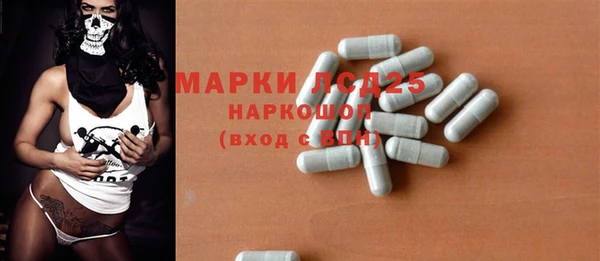 шишки Няндома