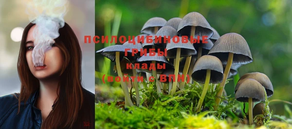 СК Аркадак