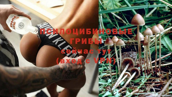 соль ск Нязепетровск