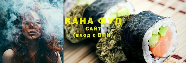шишки Няндома